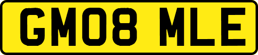 GM08MLE