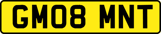 GM08MNT