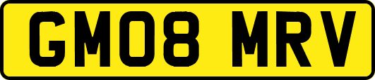 GM08MRV
