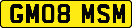 GM08MSM