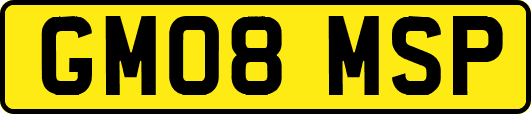 GM08MSP
