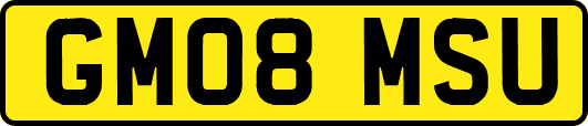 GM08MSU
