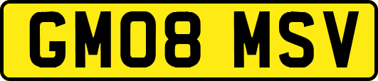 GM08MSV