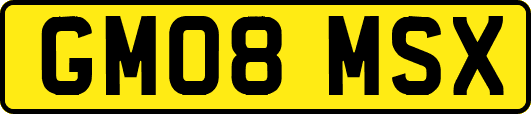 GM08MSX