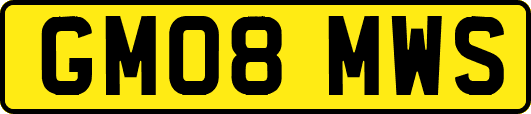 GM08MWS