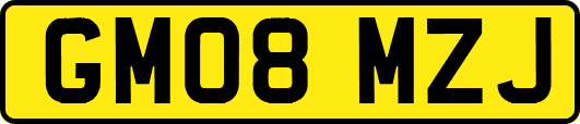 GM08MZJ