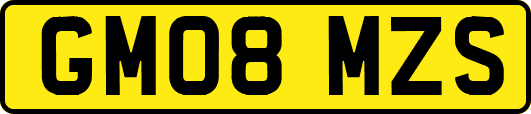 GM08MZS