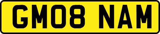 GM08NAM