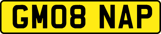 GM08NAP