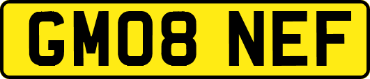 GM08NEF
