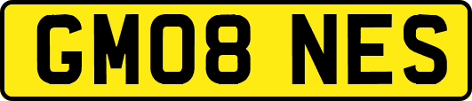 GM08NES