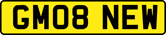 GM08NEW