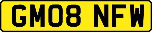 GM08NFW