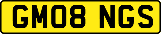 GM08NGS