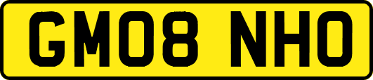 GM08NHO
