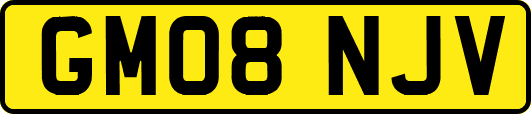 GM08NJV