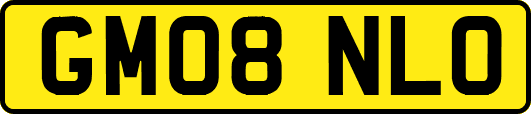 GM08NLO