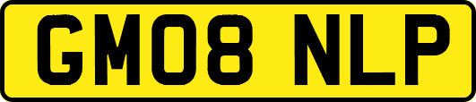 GM08NLP