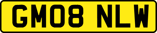 GM08NLW