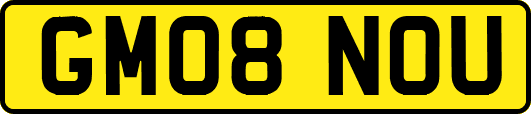GM08NOU