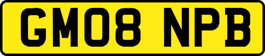 GM08NPB