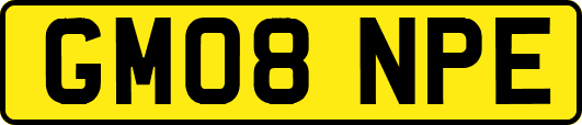 GM08NPE