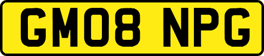 GM08NPG