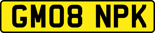 GM08NPK