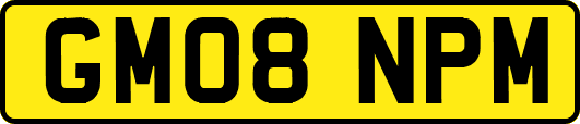 GM08NPM