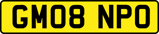GM08NPO