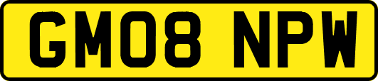 GM08NPW