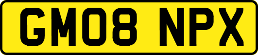 GM08NPX