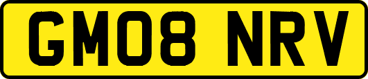 GM08NRV