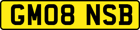 GM08NSB