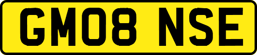 GM08NSE