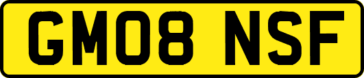 GM08NSF