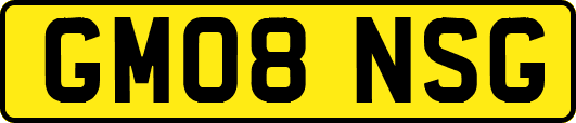 GM08NSG