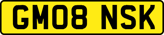 GM08NSK