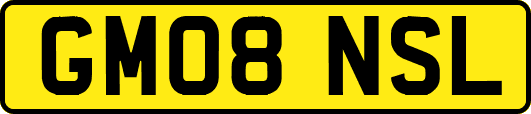GM08NSL
