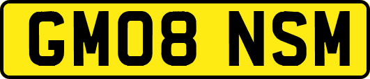 GM08NSM