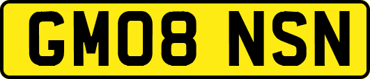 GM08NSN