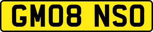 GM08NSO