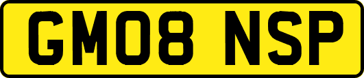 GM08NSP