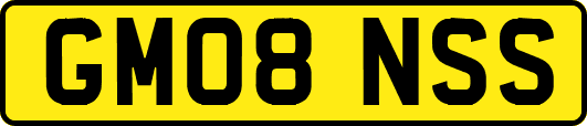 GM08NSS