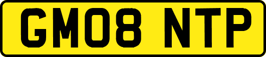 GM08NTP