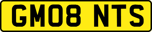 GM08NTS