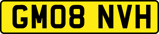 GM08NVH