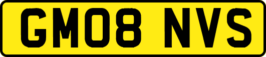 GM08NVS