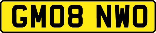 GM08NWO