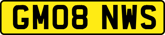 GM08NWS